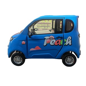 Véhicule électrique domestique à quatre roues, mini véhicule de transport, nouvelle énergie, autonomie inférieure à 100 km, usage adulte - Product Image 2