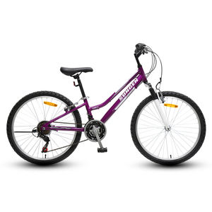 Vélo de mode à gros pneus bon marché pour adulte pour homme vélo à suspension complète pour homme vélo pour adulte de 29 pouces vtt cadre vélo de descente - Product Image 5