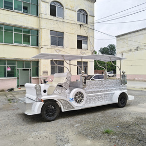 Cercueil électrique spécial pour transport funéraire / Cercueil électrique personnalisé à prix réduit / Carrosse funéraire à vendre - Product Image 5