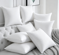 Coussin décoratif 100% polyester, insert 18x18, lot de 2, housse en polyester douce et respirante, pour canapé, lit, maison, hôtel