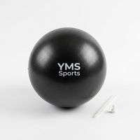 Ballon de Pilates en PVC souple écologique de 25 cm avec surface antidérapante et pompe incluse pour le sport, le yoga, la maison/le bureau, la salle de sport