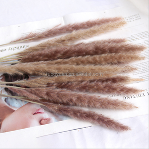 SZ0494 Alta Qualità 15 Pezzi Mazzo di Erba della Pampa Essiccata 60cm Soffice Erba della Pampa Naturale Viola Piccola per Vendita all'Ingrosso - Product Image 2