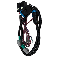 Fil de harnais de moto CG150 Câblage pour tout le corps Câbles électriques de moto Fils de harnais