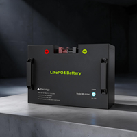 Batterie LiFePO4 BP-24150 avec bornes anti-inversion de polarité, avertissement de sécurité standard, doubles poignées portables, boîtier métallique