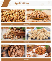 Ligne de transformation industrielle, machine automatique de décorticage des noyaux d'abricot, casse-noix d'amandes, machine à décortiquer les noix noires
