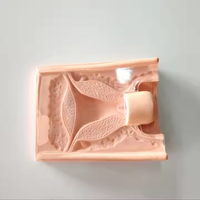 Modèle de formation avancé de haute qualité sur dispositif intra-utérin contraceptif (DISC) pour femmes, en PVC, pour les écoles d'enseignement médical