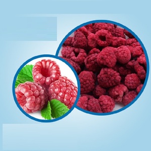 Fyfd014f Bán Buôn 100% Tinh Khiết Đông Khô Toàn Bộ <span class=keywords><strong>Raspberry</strong></span> FD Trái Cây Sấy Khô Chua Hương Vị Nước Bảo Quản - Product Image 5