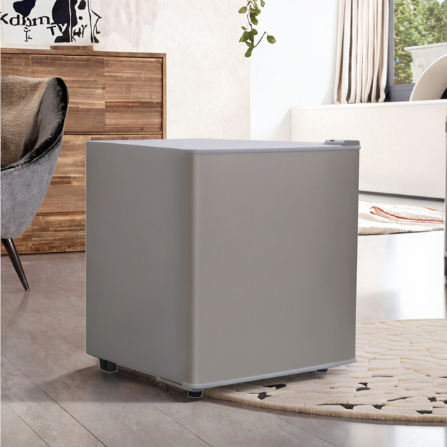 Certified CE New ThermoElectric Mini Bar RV Refrigerator 12 Volt Portable 31L High Quality Electric Home Hotel Use Made Plastic