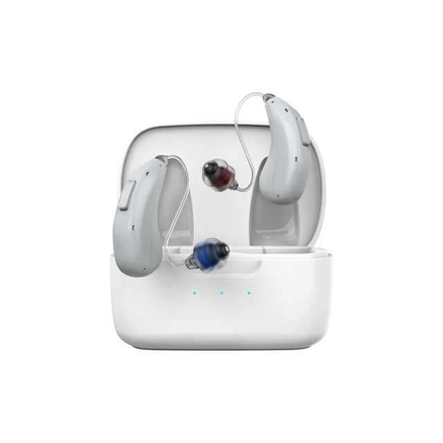 32 Channels Digital Programmable RIC Rechargeable Hearing Aids APP Fitting for Elderly