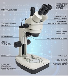 Microscópio <span class=keywords><strong>Trinocular</strong></span> Phenix XTL-165-MT com Zoom Estereoscópico para Gemas com Luz Superior e Inferior 7X-45X - Product Image 3