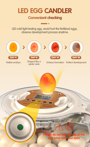 <span class=keywords><strong>2026</strong></span> नई प्रवृत्ति ई नियंत्रक कृषि उपकरण मिनी 26 चिकन क्वेल बतख इनक्यूबेटर अंडे देने वाली मशीन - Product Image 5