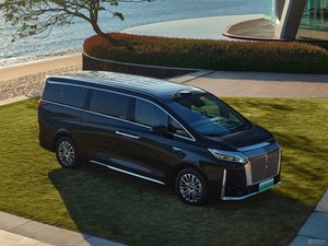 WEY Gaoshan <span class=keywords><strong>9</strong></span> AWD 6 places Premium PHEV MPV 2025 avec Hi4 LiDAR - Product Image 1