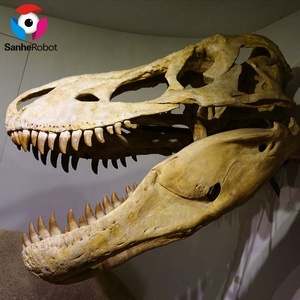 Fibra <span class=keywords><strong>de</strong></span> vidrio dinosaurio fósil tamaño Real dinosaurio esqueleto réplica modelo precio para <span class=keywords><strong>Parque</strong></span> <span class=keywords><strong>de</strong></span> Atracciones - Product Image 4