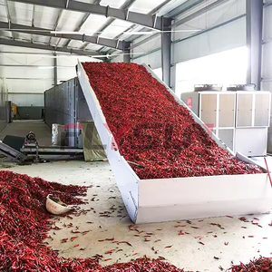 Thiết bị sấy ngày Đỏ kiểm soát nhiệt độ thông minh máy sấy ngày đỏ liên tục máy sấy vành đai lưới - Product Image 2