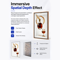 Affichage publicitaire 3D transparent à effet dynamique SDK, affiche numérique 4K à effet 3D visuel direct