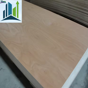 Fabrik verkauf Alle Größen Gewerbliches Sperrholz Hartholz Sperrholz Laminierte Platte Dekoration Sperrholz für Möbel 18mm 4*8 - Product Image 2