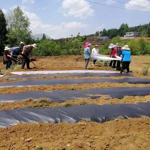 Película Agrícola Ecológica con 100% degradable/película de mantillo ecológica para totalmente degradable - Product Image 4