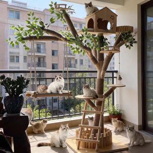 <span class=keywords><strong>Arbre</strong></span> à <span class=keywords><strong>chat</strong></span> de luxe en bois massif, structure d'escalade pour <span class=keywords><strong>chat</strong></span> avec lit intégré, pour l'auto-entretenissement du <span class=keywords><strong>chat</strong></span>, durable - Product Image 2