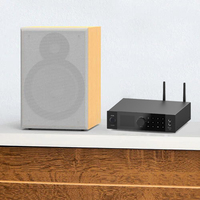 Amplificador de Audio de Clase D de Metal A100 Acrílico de Lujo, 100 W x 2, Subwoofer de Música para el Hogar con Audio Multiestancia
