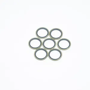 Bonded Seal Gasket Composite Gasket Iron Rubber Stainless Steel Compound Gasket