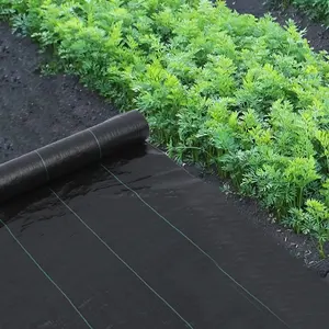 חממת מפעל PP ארוג מחצלת הדברת עשבים בתפזורת כיסוי קרקע חקלאי בד שחור פלסטיק כיסוי קרקע גינון