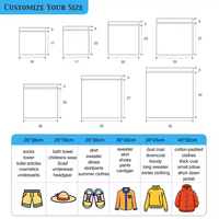 Sacs en plastique LDPE personnalisés avec logo transparent imprimé en gravure, fermeture éclair givrée pour l'emballage de vêtements, chaussettes, chaussures et cosmétiques