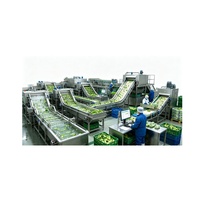 Nieuwe complete productielijn voor de verwerking van fruit en groenten, machine voor het produceren van fruit- en groentesap