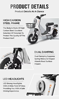 Vélo électrique de ville R9 800W avec moteur sans balais, batterie au plomb-acide 48V 20AH, vitesse de 45 km/h, suspension intégrale, freins à disque hydrauliques, électronique