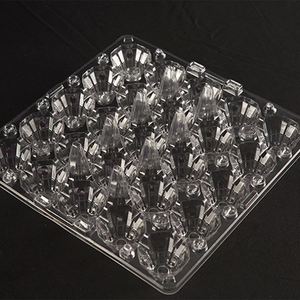 Plateau à œufs en plastique transparent à prix avantageux, 25 alvéoles, carton à œufs en plastique recyclable - Product Image 4