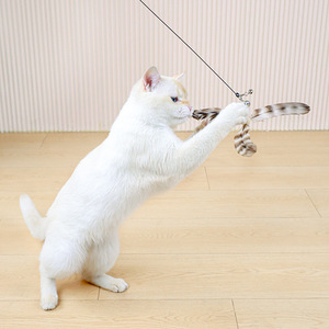 Feather <b>Cat</b> Wand Solid Wood Handle <b>Interactive</b> Exercise <b>Toy</b> Indoor Use - Product Image 2