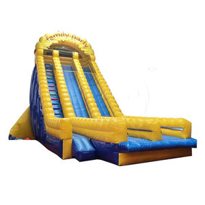 Tobogán Inflable Doble de Grado Comercial, Emocionante, para Piscina o Jardín, para Adultos y Niños, Alquiler para Fiestas de Verano - Product Image 3