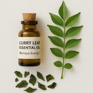 Aceite Esencial de Hoja de Curry, Aceite Herbal Natural Puro para el Cuidado del Cabello y la Piel, Aromaterapia, Suministro al por Mayor - Product Image 3