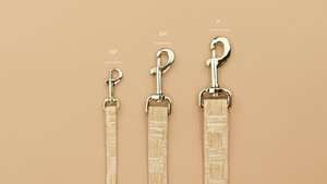 Laisse-marguerite - Product Image 2