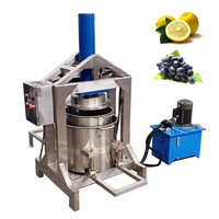 VBJX Automatische Multifunctionele RVS Mulberry Tarwe Gras Fruit Groente Sapcentrifuge Extractor Machine