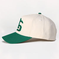 Gorras de Béisbol Deportivas de 5 Paneles con Visera Curva, Personalizables con Logotipo Bordado, Gorras Personalizadas para Fitness, Gorra Original