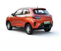 Quadricycle électrique à basse vitesse, SUV pour usage urbain, 4 portes, 5 places, roues en alliage d'aluminium, caméra de recul, véhicule familial pour les trajets quotidiens, 3500W