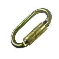 Crochet de sécurité certifié CE EN362, protection contre les chutes, crochets d'échafaudage, équipement de protection individuelle, point d'ancrage, mousqueton de verrouillage en acier 25kN, harnais, anneaux en D