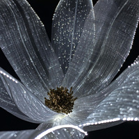 Fleurs de lys géantes artificielles en fibre optique, fabriquées à la main, pour la décoration de scène de mariage, la photographie, les vitrines et les hôtels