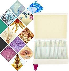 学校や研究室向けの中国語と英語のラベル付きの準備済みガラス顕微鏡スライド教育標本 - Product Image 2