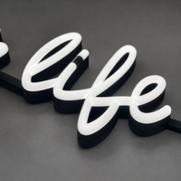 Enseigne néon blanche avec cadre métallique, logo LED personnalisé, affichage de marque, enseigne murale en acrylique étanche, luxe sur mesure