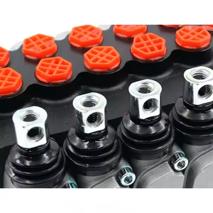 Vanne de commande directionnelle hydraulique P40-G12-G38 avec fonction de décharge principale pour les machines de construction et agricoles - Product Image 6