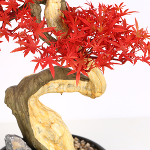 Más pequeña planta <span class=keywords><strong>de</strong></span> 3ft rojo artificial <span class=keywords><strong>de</strong></span> arce árbol bonsai para la venta - Product Image 2