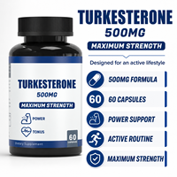 Service de Marque Blanche : Capsules de Turkesterone Pure 500mg pour la Puissance et la Croissance Musculaire des Hommes Adultes, Certifiées GMP, Végétaliennes, Faible Teneur en Matières Grasses