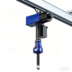 Polipasto Eléctrico de Cadena Personalizado con Frecuencia Variable, Grúa de Elevación de 220V con Construcción de Acero para Clientes - Product Image 2