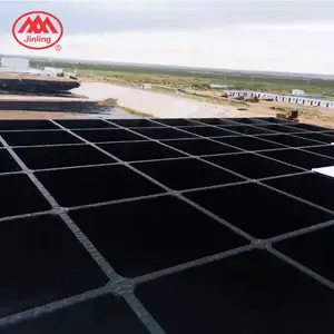 Jeosentetik Hdpe geomembran astar 1Mm 1.0Mm 1.5Mm depolama alanı