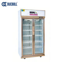 Réfrigérateur de Luxe Neuf pour Boissons Énergisantes LG-800F, Vitrine Réfrigérée à Double Porte Vitrée pour Restaurants et Bars