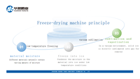 Machine de déshydratation alimentaire HRTY pour bonbons au lait, produits laitiers et légumes, sécheur par congélation à air froid, machine à lyophiliser les fruits