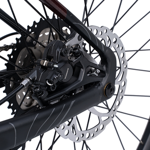 Bicicleta de Montaña JOYKIE de 29 Pulgadas, Nuevo Diseño, 250W, 36V, 15Ah, Motor Central, Frenos de Disco Hidráulicos, Pantalla TFT - Product Image 5