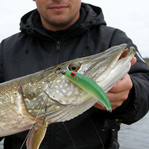 <span class=keywords><strong>Leurre</strong></span> <span class=keywords><strong>souple</strong></span> de pêche Selco Predator avec queue de pagaie <span class=keywords><strong>pour</strong></span> la pêche au brochet en eau douce - Product Image 3