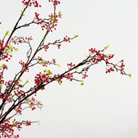 Kunstfruit, uit de bergen, rode kleine bessen, kunstmatige fruittakken in Chinese stijl, woondecoratie